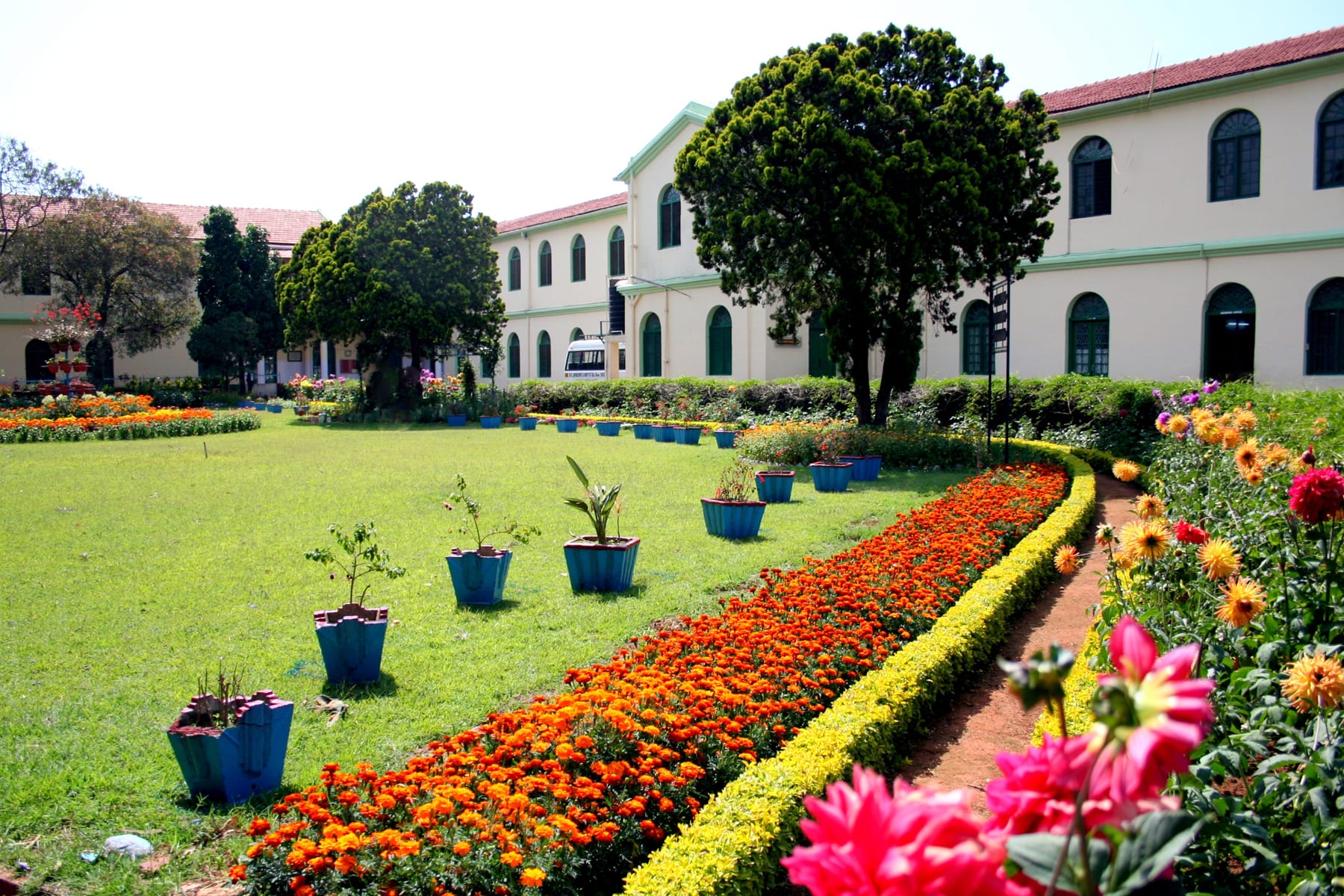 St joseph college